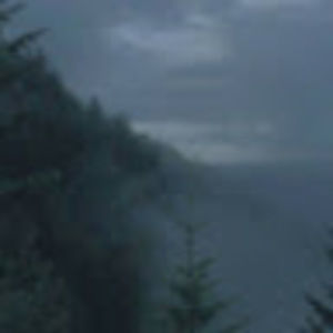 Meet your Posher, Neeka